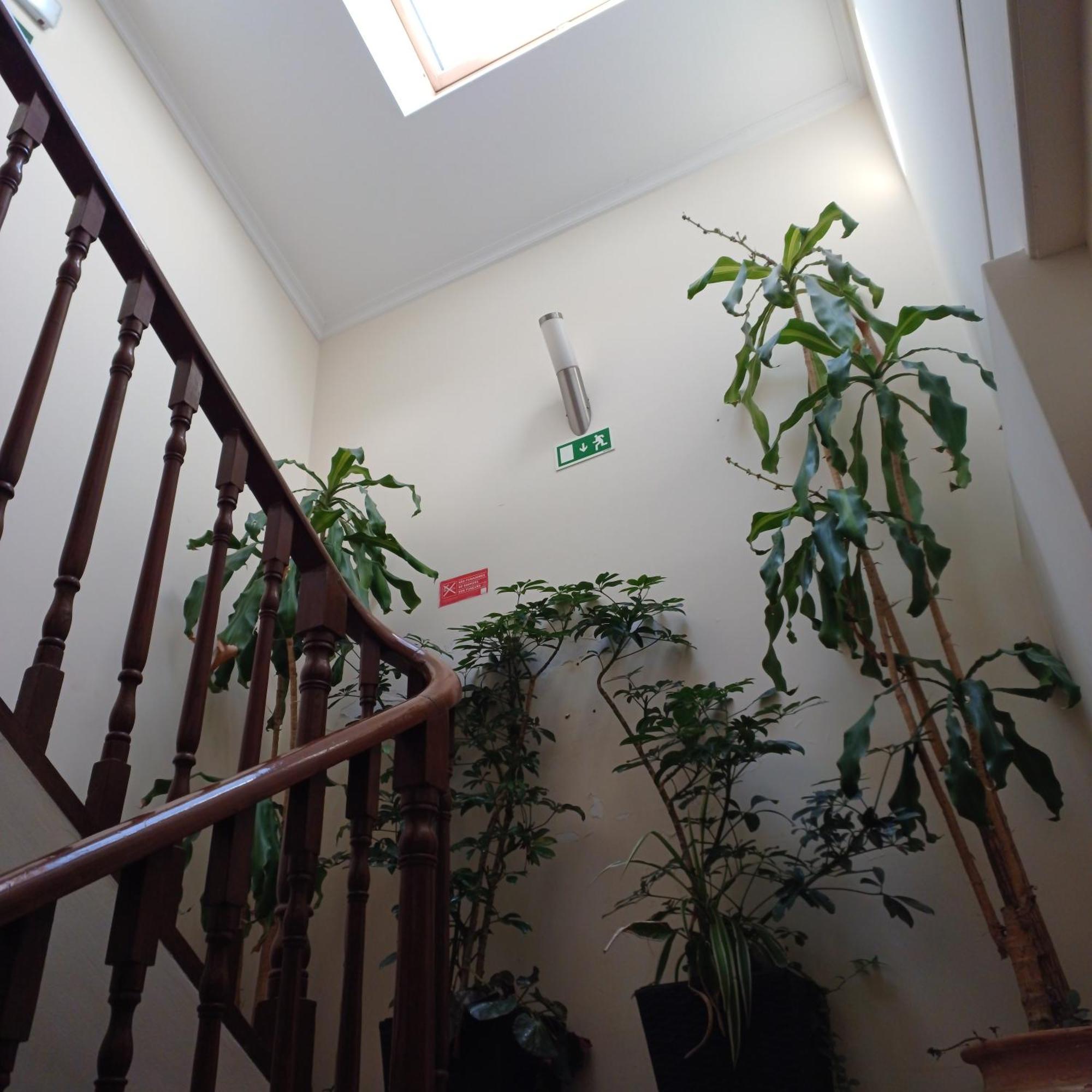Residencialusobrasileira Hotel Leca da Palmeira Luaran gambar